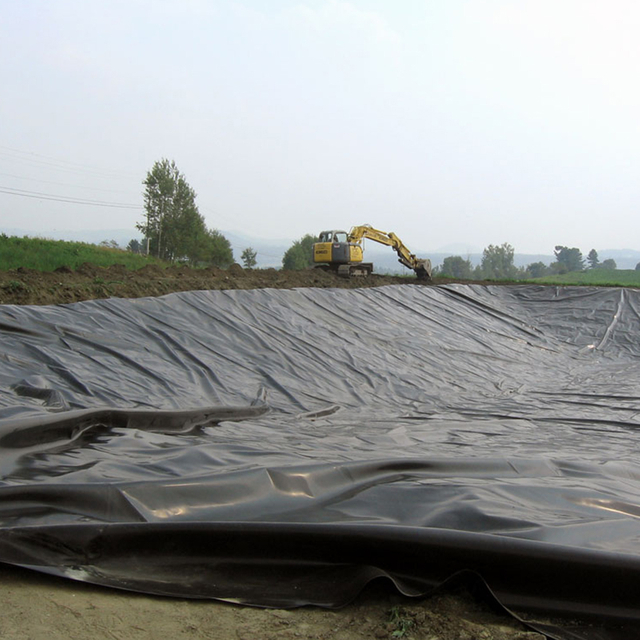 Pond Liner Waterproofing HDPE Black Geomembrane Membrane Film Fish Farm Pool Lake Dam Tank