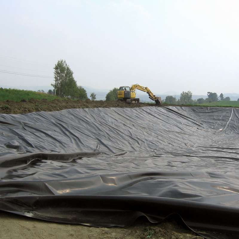 Pond Liner Waterproofing HDPE Black Geomembrane Membrane Film Fish Farm Pool Lake Dam Tank