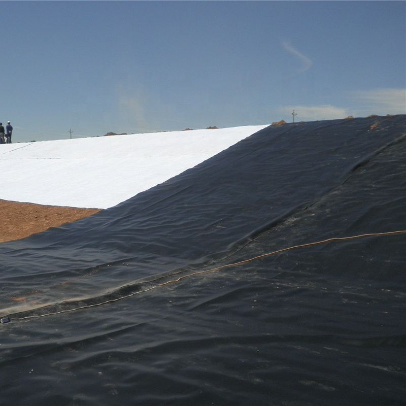 HDPE Pond Liner Geomembrane Premium Plastic Geomembrane for Agricultural and Landscape Use