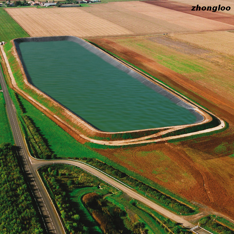 Pond Liner Waterproofing HDPE Black Geomembrane Membrane Film Fish Farm Pool Lake Dam