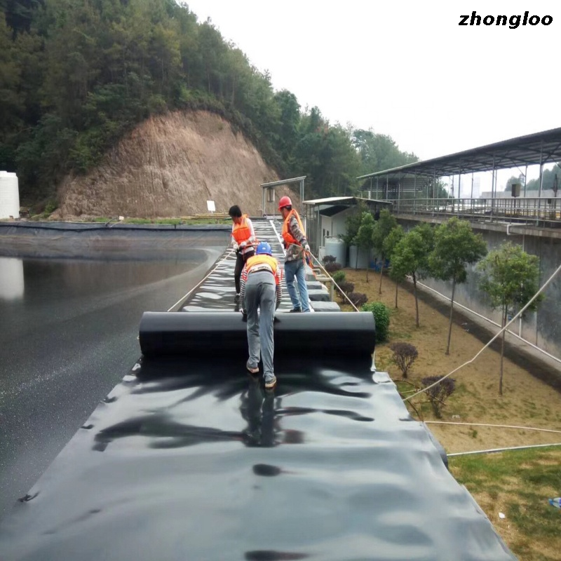 Environmental Protection Hdpe Smooth Fish Farm Pond Liner Geomembrane