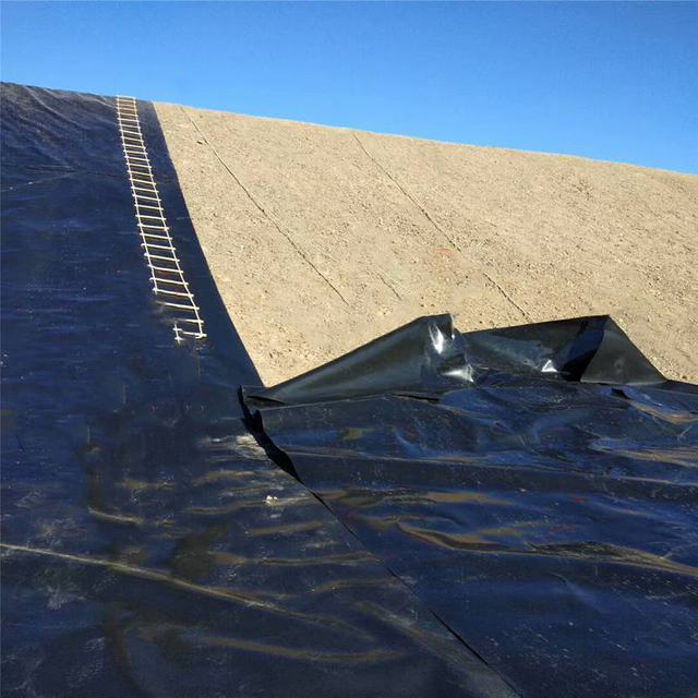 HDPE /LDPE /lldpe Geomembrane/pond Liner Price