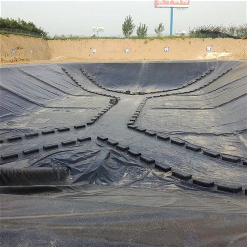 Hdpe Geomembrane Waterproof HDPE/Geomembrane/Pond Liner for Aquaculture/Dam/Landfill/Tunnel/Mining/Biogas/Fish Farm