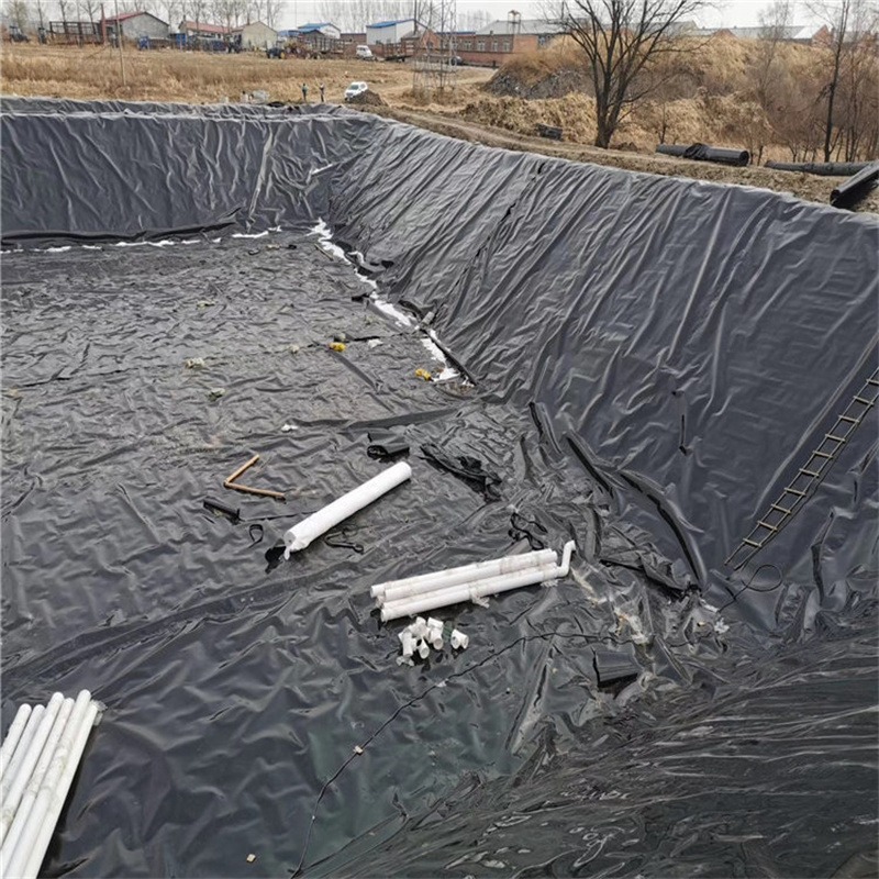 Hdpe Pond Liner Geomembrane Hdpe Waterproof Geomembrane Ldpe Geomembrane