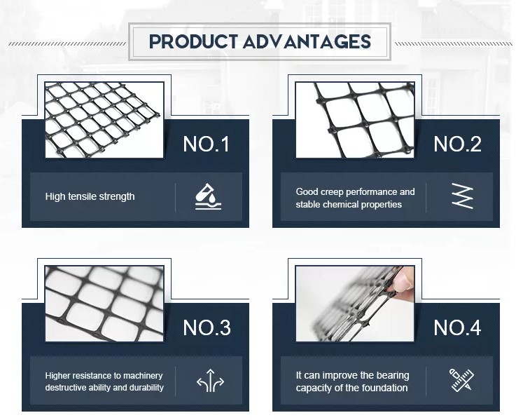 geogrid advantage