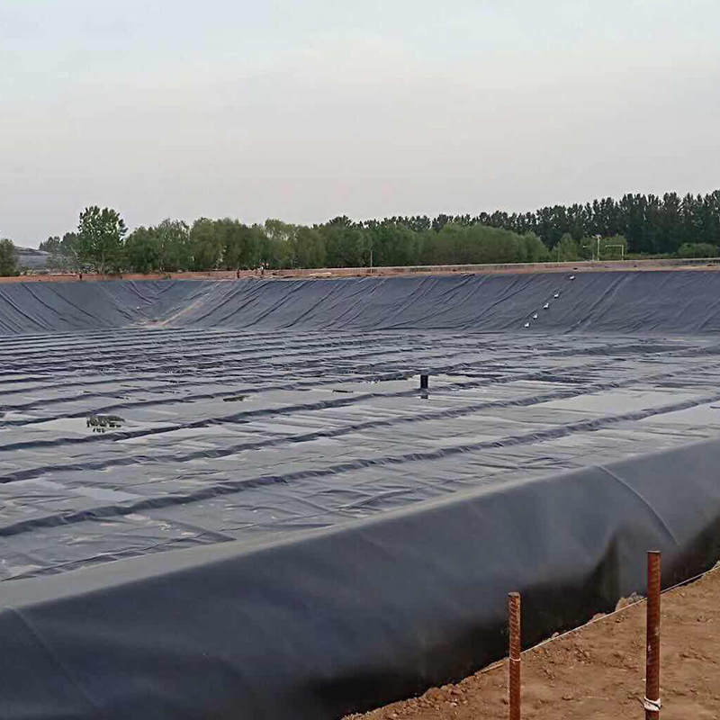 LDPE LLDPE 0.5mm 1mm 1.5mm 2mm Waterproof Geomembrane Dam Pond Liner Price HDPE Geomembrane