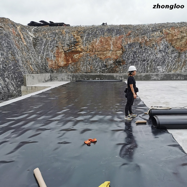 Manufacturer Black Fish Shrimp Pond Liner 0.5mm 0.3mm 1.5mm Hdpe Geomembrane