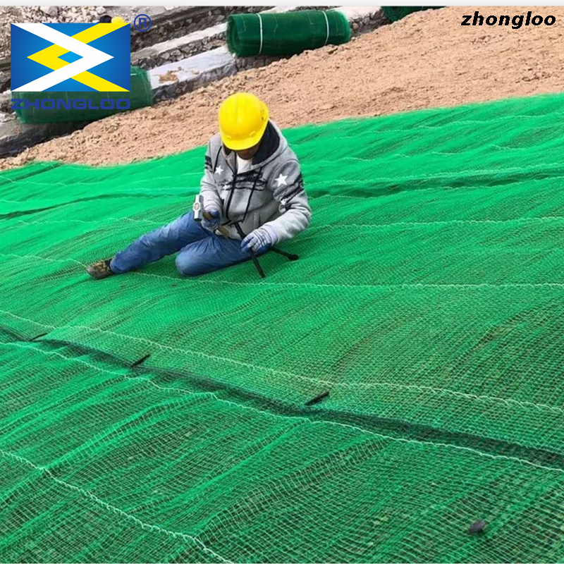 3D Geomat Polypropylene Geonet for Slope Protection Cement Blanket
