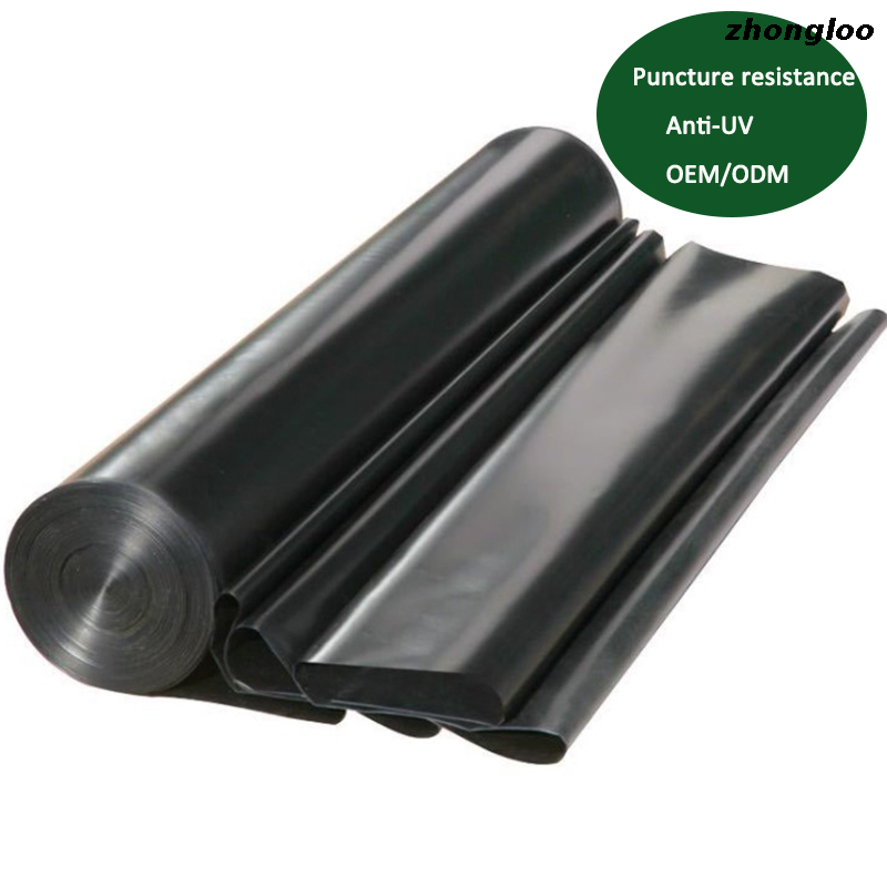 High Quality 1mm 3mm LDPE HDPE Geomembrane for Dam Waterproofing Geomembrane Pond Liner