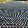 Grass Protection Turf Grass Grid Plastic Grid for Gravel Driveway Parking Lot Grass Paving Grid