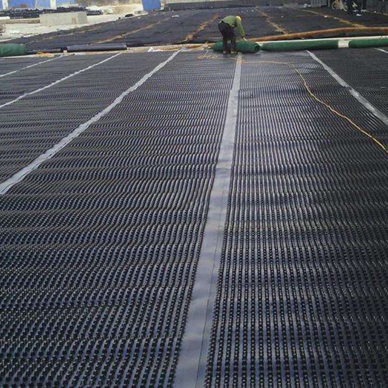 Premium Waterproof Drainage Sheet Board Drainage Cell Matting Board and Green Roof Dimple Board for Water Management