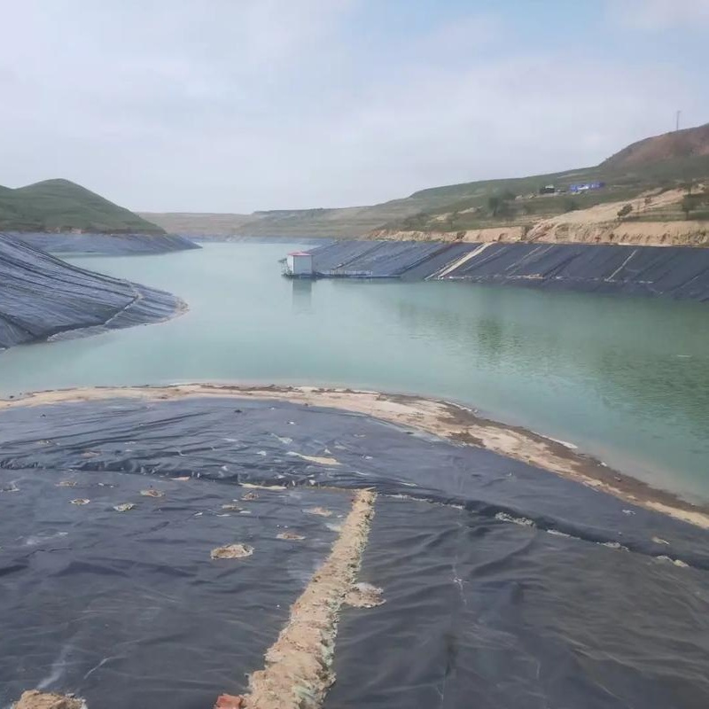 Anti-Seepage plastic film HDPE geomembrane lining pool lake river aquaculture agriculture dam landfill fish farming tank liner