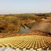 Zhongloo HDPE geocell installed on riverbank slope for erosion control and soil stabilization